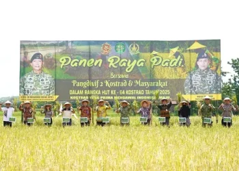 Divif 2 Kostrad gelar panen raya di Sumberpucung. Foto: Divif 2 Kostrad