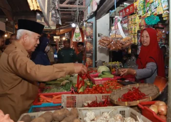 Bupati Malang melakukan sidak di Pasar Kepanjen, pastikan harga stabil. Foto: Pemkab Malang