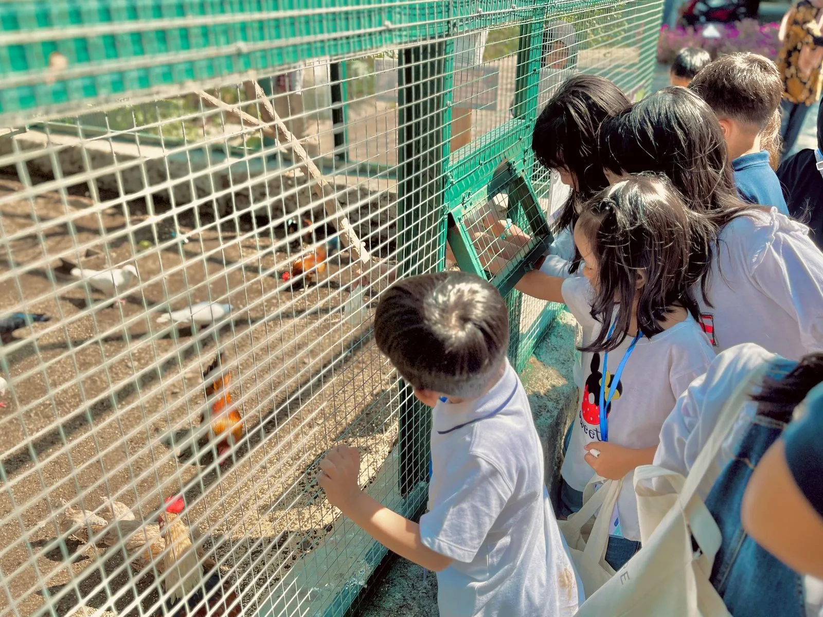 Animal feeding di Grand Mercure Malang Mirama. Foto/dok