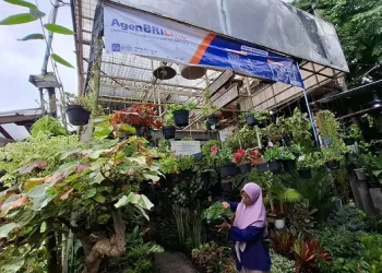 Kios milik Citra di Pasar Bunga Bratang Surabaya dengan banner Agen BRILink. Foto: Aisyah Nawangsari Putri
