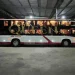 Layanan sleeper bus dari PO MTrans sebagai referensi bagi masyarakat yang akan bepergian di rute Malang-Jakarta. /Foto: Dok. MTrans.