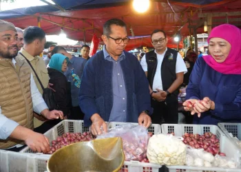 Bawang merah kota Batu