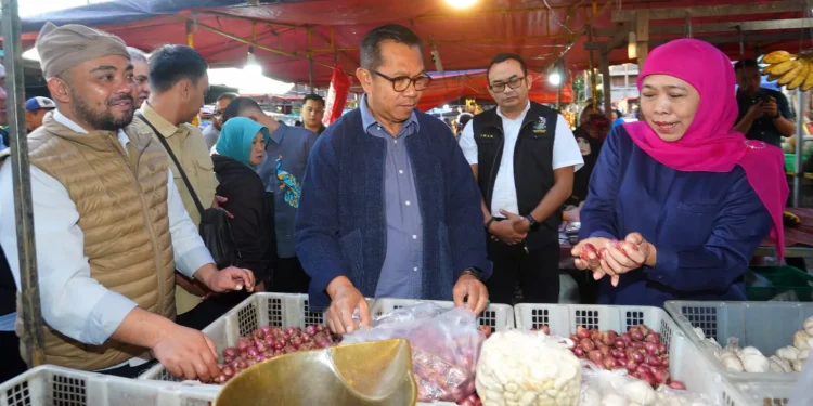 Bawang merah kota Batu