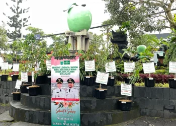 Wali Kota Batu