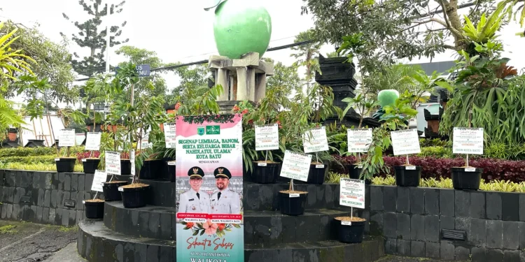 Wali Kota Batu