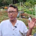 hotel di kota batu - H-7 Lebaran 2025, Pemesanan Hotel di Kota Batu Capai 50%
