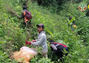 Lokasi penemuan ladang ganja di sekitar Gunung Semeru. (Foto/dok. TNBTS)