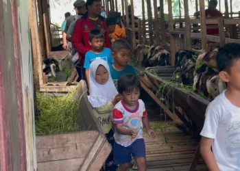 anak-anak dan hewan kurban