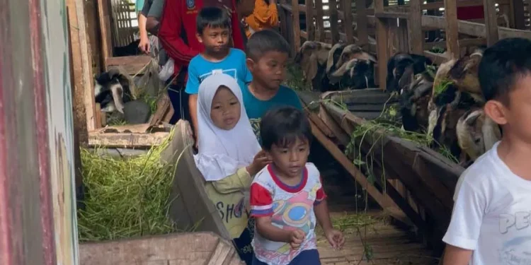 anak-anak dan hewan kurban