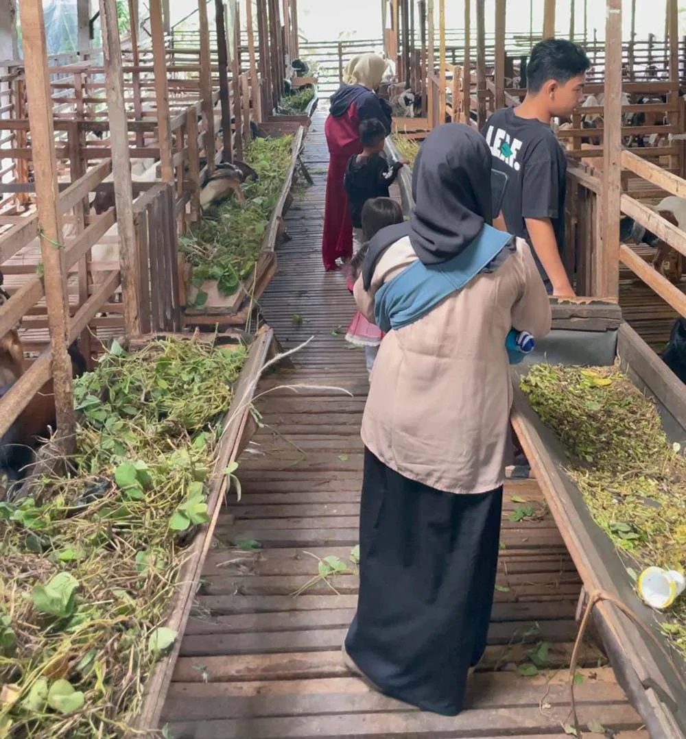 Anak-anak Melihat hewan Kurban