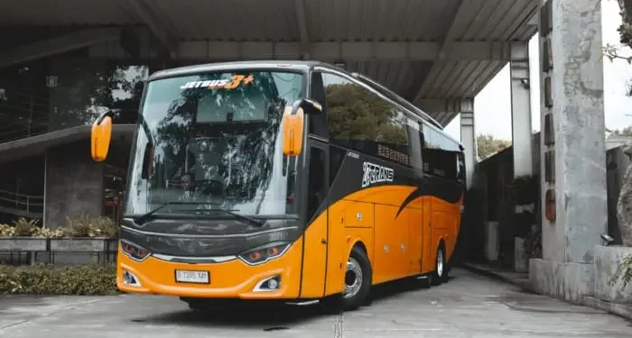 PO Bus