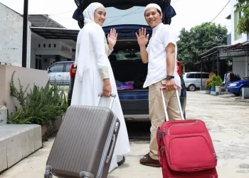 Mudik sehat