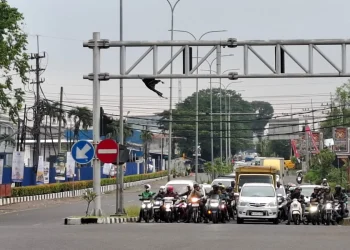 tips aman mudik