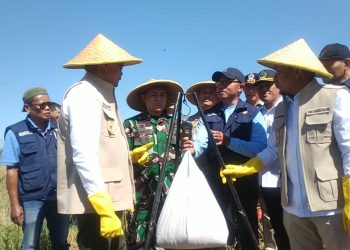 Wali Kota Malang