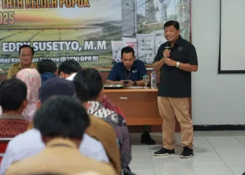 Pupuk subsidi