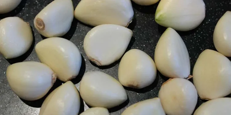 Bawang Putih