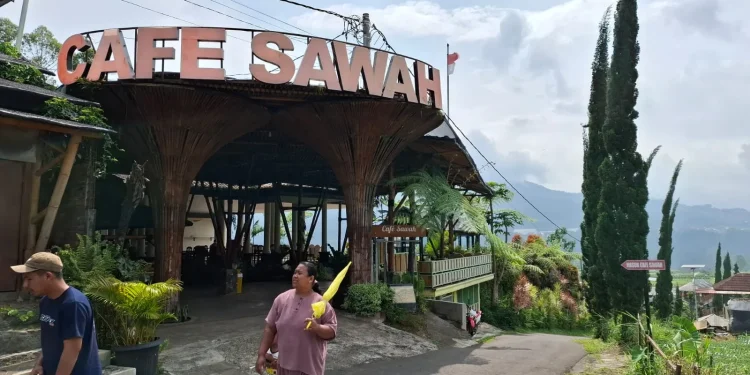 Cafe Sawah Desa Pujon Kidul