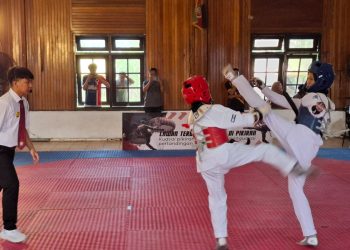 Atlet bertanding di Kejuaraan Taekwondo Seroja Cup 2025. Foto: Aisyah Nawangsari Putri