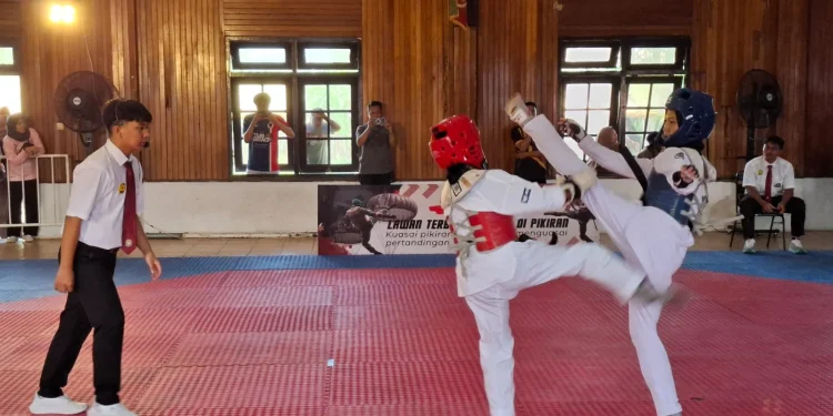 Atlet bertanding di Kejuaraan Taekwondo Seroja Cup 2025. Foto: Aisyah Nawangsari Putri