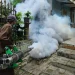 Fogging tekan kasus DBD