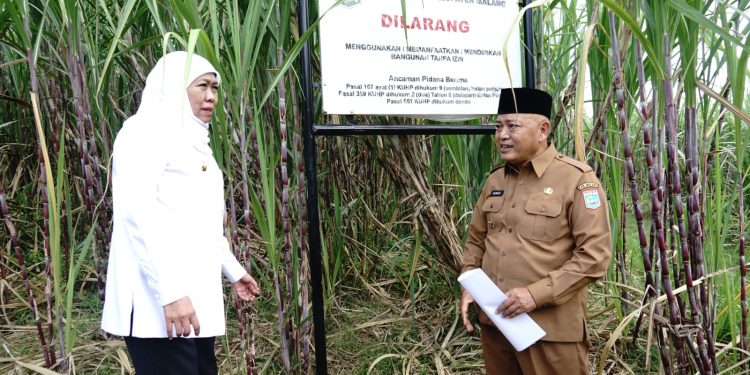 Gubernur Jatim tinjau lokasi Pembangunan sekolah rakyat di Bantur, Kabupaten Malang