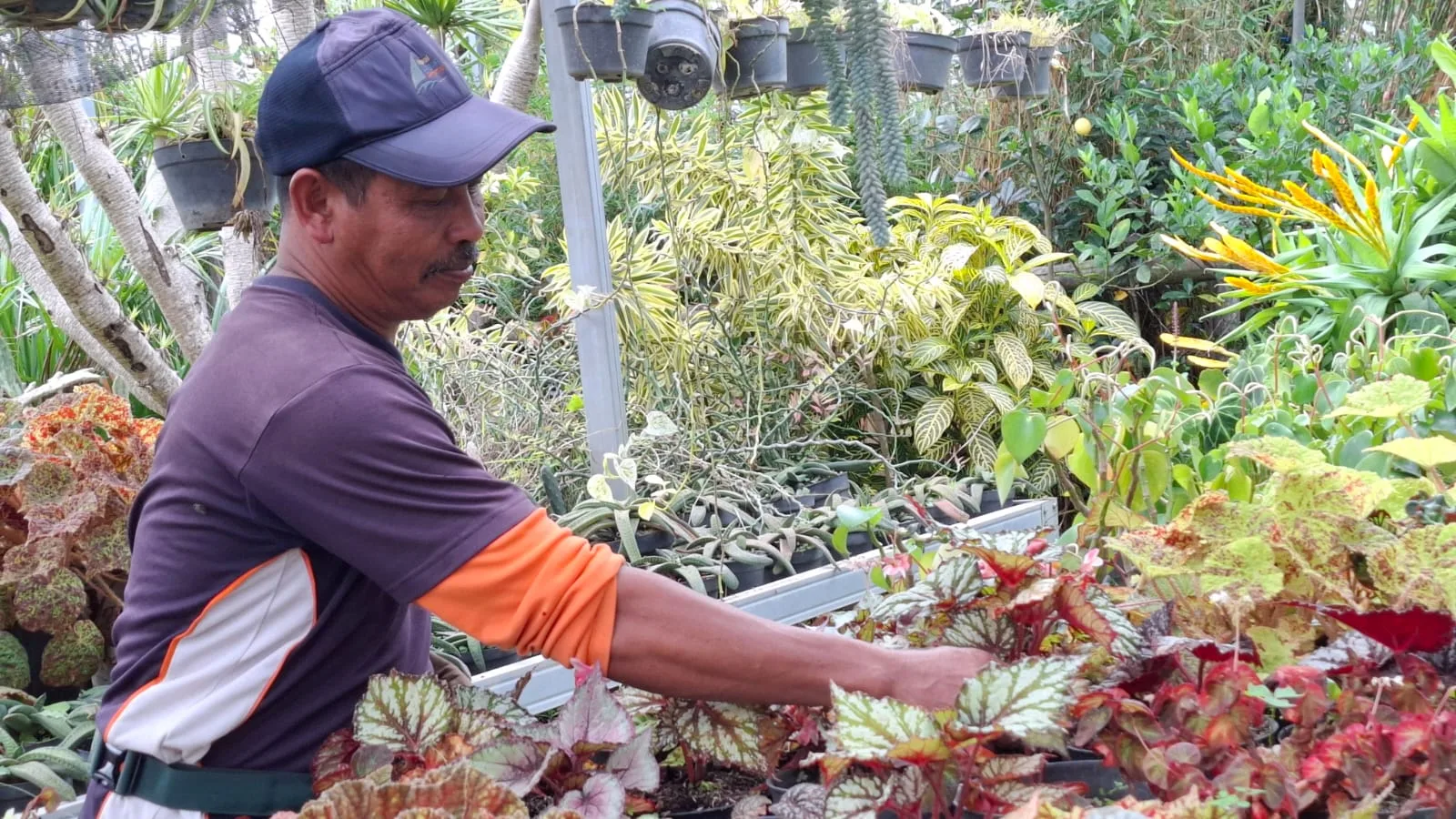 Pedagang pasar bunga