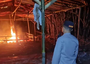 Petugas membakar arena judi sabung ayam di Karangploso agar tak lagi bisa digunakan. Foto: Polres Malang