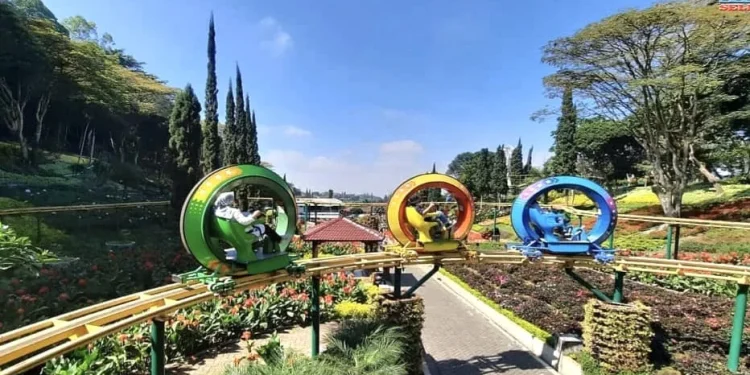 Sky bike, wahana bersepeda di atas hamparan taman bunga yang indah di Taman Rekreasi Selecta Kota Batu. Foto: Selecta