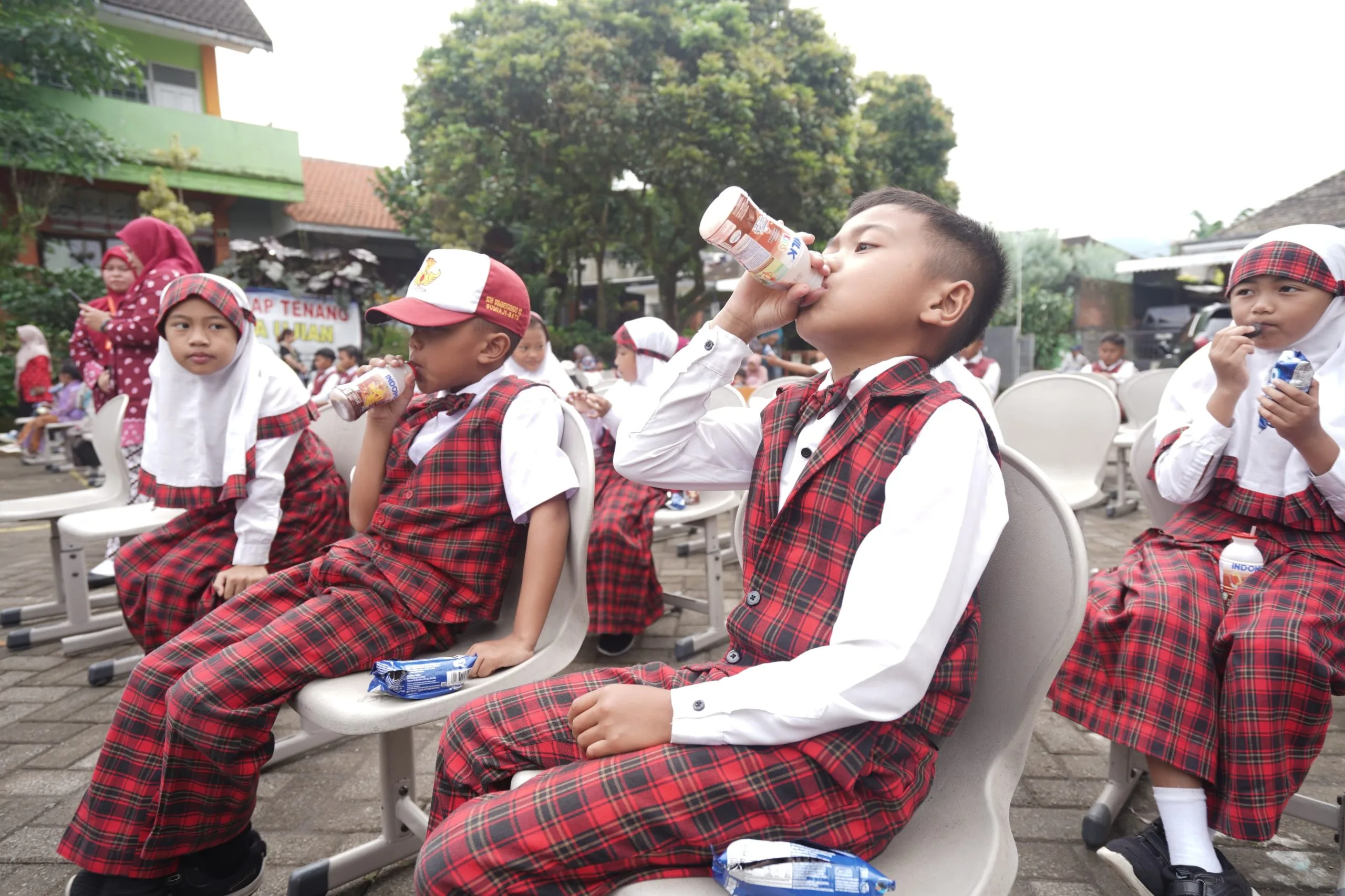 Minum susu