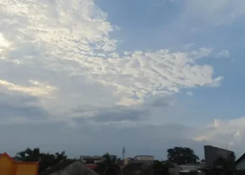 Informasi prakiraan cuaca Malang untuk hari Senin 26 Mei 2026 diprediksi cerah berawan dan potensi hujan di sore hari. /Foto: Tugumalang.id/Bagus Rachmad Saputra