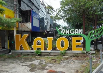 Kayutangan heritage