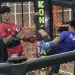 Penampilan atlet MMA Kota Batu di Porprov Jatim 2025. Foto: KONI Kota Batu