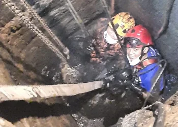 Petugas turun ke dalam septictank untuk evakuasi sapi. Foto: Damkar Kabupaten Malang