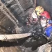 Petugas turun ke dalam septictank untuk evakuasi sapi. Foto: Damkar Kabupaten Malang