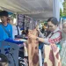 Perayaan Dies Natalis ke-56 ITN Malang. Foto/dok