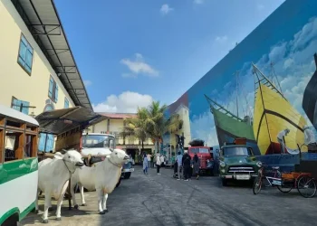 Rekomendasi museum di Malang yang bisa dikunjungi saat libur sekolah./Foto: Google Review Museum Angkut/Wasev