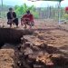 Arkeolog Dwi Cahyono saat mengamati situs purbakala di Landungsari. Foto: Aisyah Nawangsari Putri