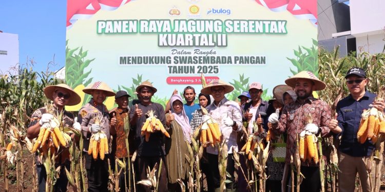 Panen raya jagung serentak kuartal II bersama Forkopimda Kota Batu. Foto: Polres Batu
