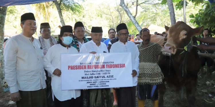 Bupati Malang serahkan sapi kurban prabowo