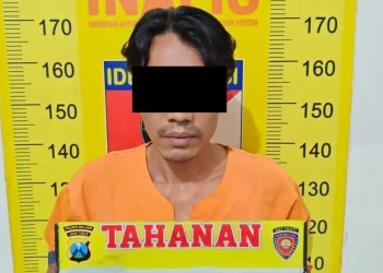Tersangka pengiriman ganja MCA usai diamankan Polres Malang. Foto: Polres Malang