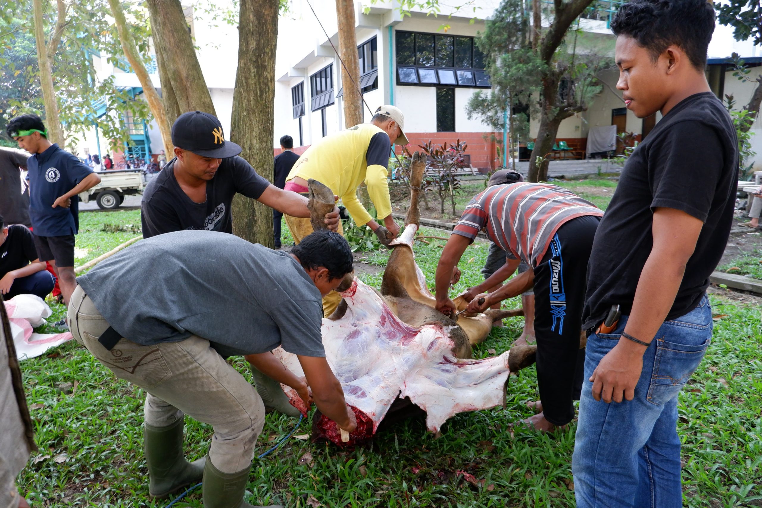 Pemotongan hewan kurban ITN Malang