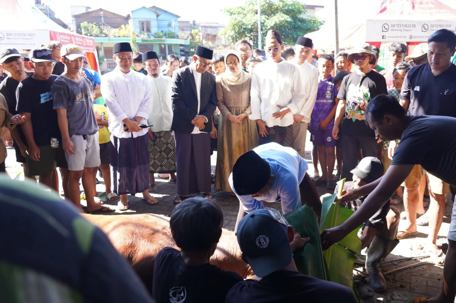 Penyembelihan sapi kurban Presiden