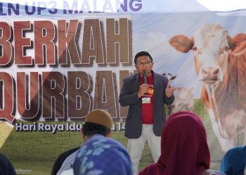 PLN UP3 Malang