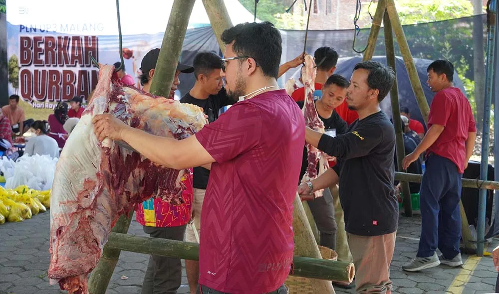 Kurban PLN UP3 Malang
