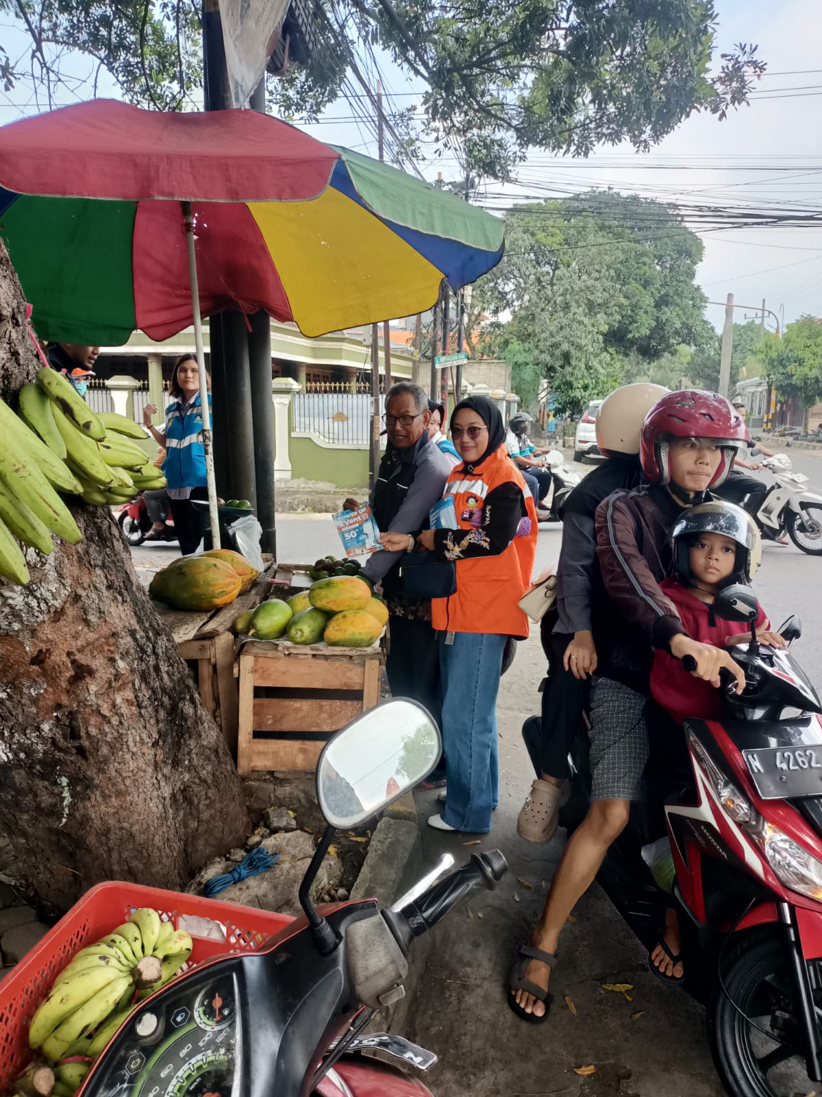 Program PLN