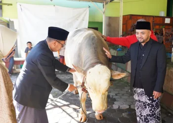 Sapi presiden dan Pemkot Batu Salurkan Hewan Kurban ke Warga