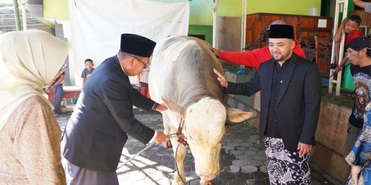 Sapi presiden dan Pemkot Batu Salurkan Hewan Kurban ke Warga