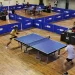 Atlet tenis meja kota batu