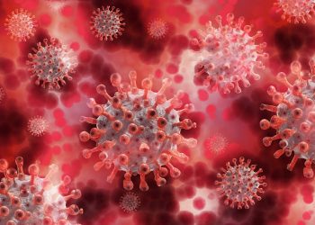 Ilustrasi virus COVID-19. Foto: Pixabay.com