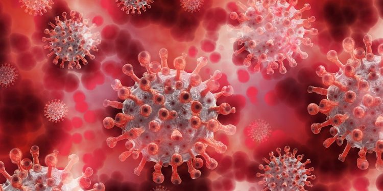 Ilustrasi virus COVID-19. Foto: Pixabay.com